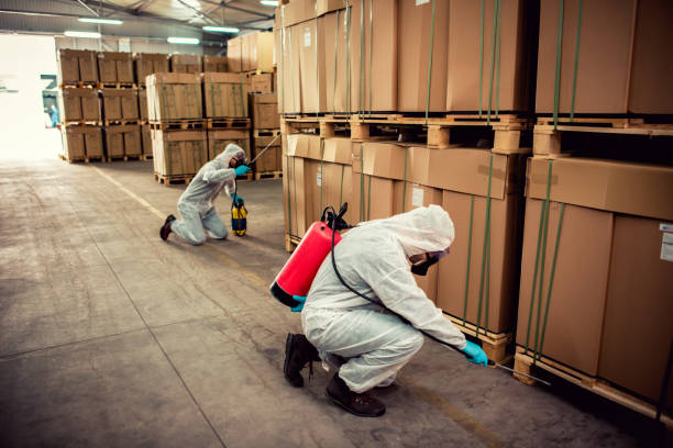 Best Rat Extermination Near Me  in North Wantagh, NY