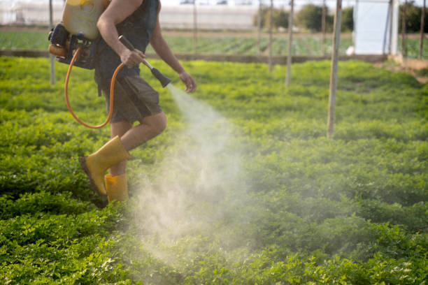 Professional Pest Control in North Wantagh, NY